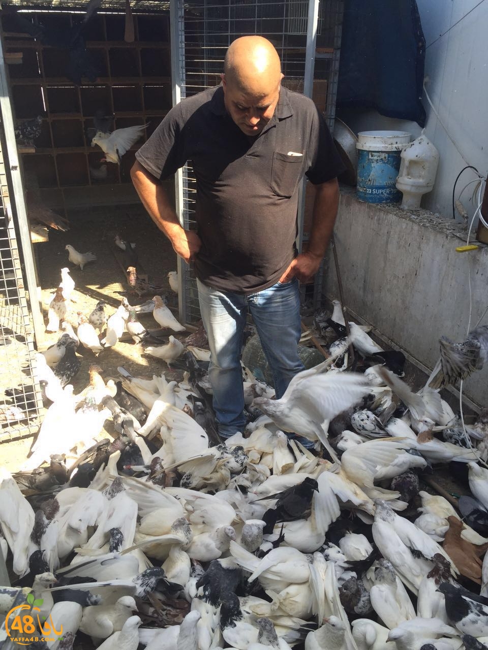 zohdy 3ashor (10).jpg